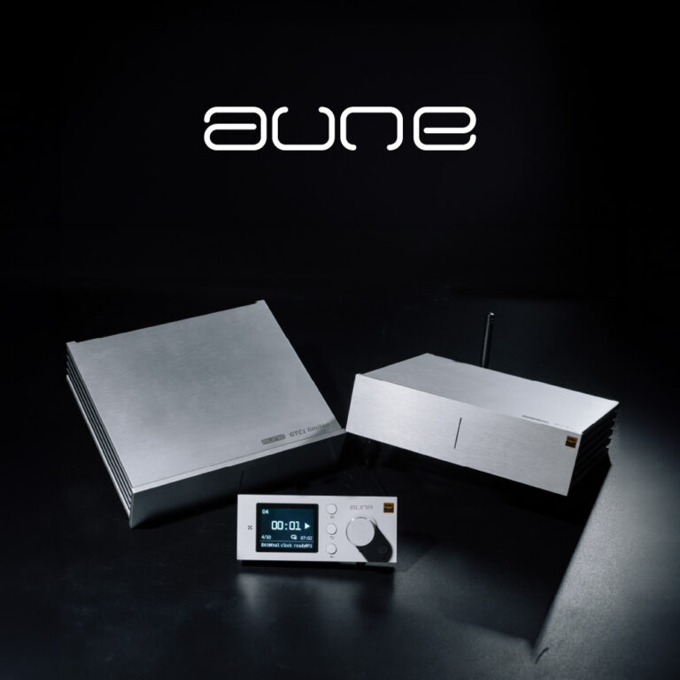 Aune ES CORPORATION